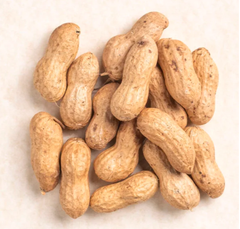 Premium Quality Fresh Ground nuts in shell forGlobal whole sale buyers - Image 3