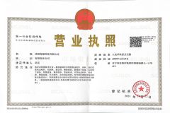 Business licence certificate from Shenyang Head Science and Technology Corporation Limited