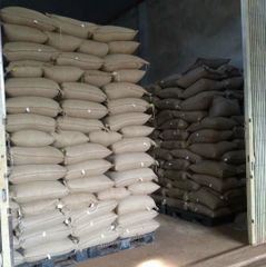 Green coffee beans Robusta S16 from Buon Me Thuot Vietnam High quality Raw coffee processing Honey Washed for sale - Image 6