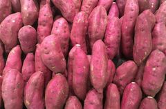 POTATO – product photo 1, product detail gallery
