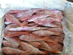 Red mullet Color Red Form Frozen for sale - Image 1