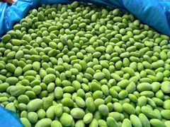 IQF & FROZEN VIETNAMESE EDAMAME KERNELS (75) – product photo 1, product detail gallery