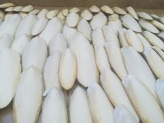 White Clean Dried Cuttlefish Bone Good Quality Directly From Factory - Image 2