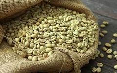 ARABICA AND ROBUSTA COFFEE BEANS , GREEN COFFEE BEANS – product photo 1, product detail gallery