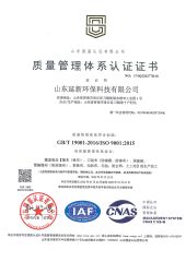 ISO 9001 certificate from Shandong Yanxin Environmental Protection Technology Co., Ltd