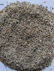 Singapore 99 Cumin seeds – product photo 1, product detail gallery