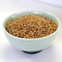 Organic Wheat grain for sale High Standard Wheat grain with excellent nutritional content and clean appearance in Bulk – product photo 4, product detail gallery