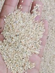 Premium Export Quality White Sesame Seeds – 99.95% Purity | Hulled & Unhulled | Bulk Wholesale Supply – product photo 3, product detail gallery