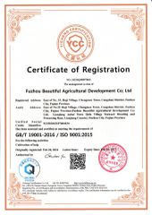 ISO certificate from Fuzhou Beautiful Agricultural Development Co., Ltd.