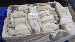 FROZEN OMAN CUTTLEFISH – WHOLE – product photo 2, product detail gallery