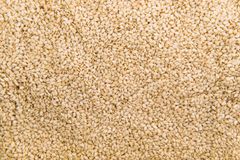 sesame seeds – product photo 1, product detail gallery