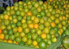 Vegetables and fruits - Image 1