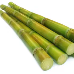 Bamboo – product photo 1, product detail gallery