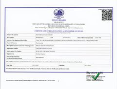 Spices Board certificate from Sri maragatham export. India