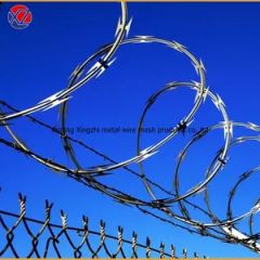 Stainless Steel Razor Blade Barbed Wire - Image 6