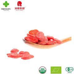 Super Grade Goji Berry Treats for Daily Health and Vitality - Ningxia Runde Biotechnology Co., Ltd.