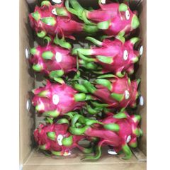 7 days Shell Life Red and Green Sweet Taste Red flesh/ White flesh Variety Dragon fruit Export From Vietnam - Image 2
