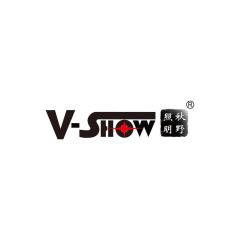 VSHOW PRO LIGHTING