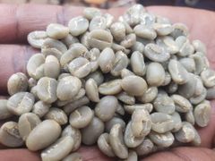 Green beans coffee – product photo 2, product detail gallery