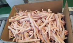 Fresh Frozen Chicken Feet - Image 5
