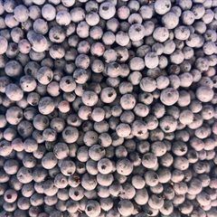 Top Quality FROZEN Blueberries for sale!! Class 1 export quality Frozen Blueberries from South Africa – product photo 5, product detail gallery