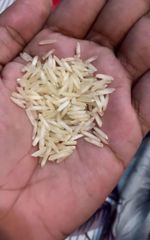 Rice, Basmati Rice, IRRI-6,IRRI-9,etc - Image 1