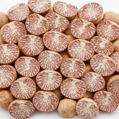 Split Betel Nut 90/95 - Image 2