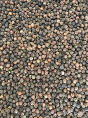 SPICES LIKE BlACK PEPPER – product photo 3, product detail gallery