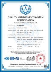 ISO 9001 certificate from Shandong Tavol Group Co., Ltd