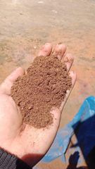 Palm Kernel Expeller - Image 1