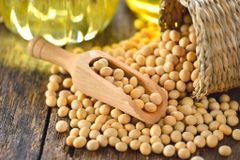 Soybeans - Image 4
