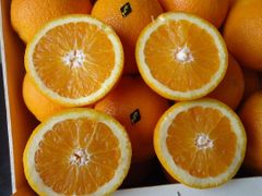 Orange – product photo 1, product detail gallery