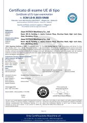 EN81-41 certificate from Jinan Xyztech Machinery Co., Ltd