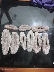 Seacucumber - Image 3