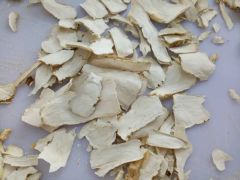 Horseradish Wasabi - Image 1