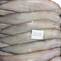 INDIAN FISH FROZEN SOLE FISH INDIAN SEAFOOD EXPORT - Image 1