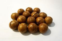 High quality Macadamia Nuts with Shell and Cashew From Vietnam For EU Market ( Linda/ WS+84 989 322 607) – product photo 2, product detail gallery