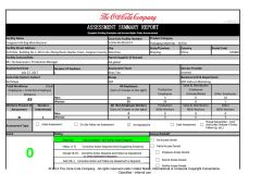 COCA -Report Green certificate from Hangzhou Initi Imp&Exp Co., Ltd.