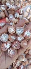 Company – thumbnail 2 of 3, supplier detail gallery