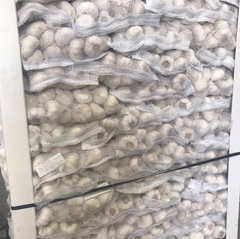 CONSISTENT SUPPLY PREMIUM QUALITY FRESH GARLIC WHOLE BULBS 6.5cm DIAMETER 10Kg MESH BAGS RICH FLAVOR - Sosa Merchant Solutions