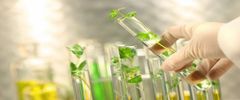 Herbal Testing Services Duration 3 Days Service Mode Offline Report Soft And Hard Copy Service Location Pan India Payment Mode - Image 2