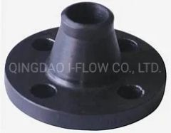 Ring Type Joint Weld Neck Flange - Image 4