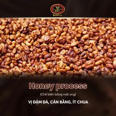 Robusta Coffee – product photo 2, product detail gallery