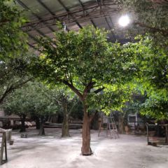 10FT Artificial Trees for Indoor Decorative Suitable for Public Producing Time 7-15 Days Shipping by Express/by Air/by Sea/by Train - Image 1