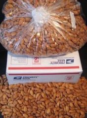 Cheap Price Wholesale Almond Nuts For Sale In bulk – product photo 4, product detail gallery