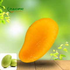 Frozen Mango Premium Quality Wholesale – product photo 2, product detail gallery
