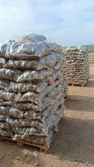 Premium Egyptian Fresh Potatoes - Export Quality - Image 2