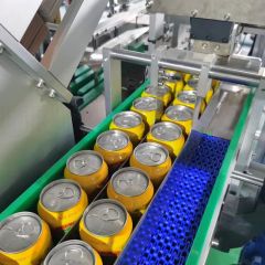 Automatic 6PCS Beer Can Cartoning Machine with Auto Sorting Machine - Image 5