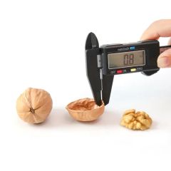 New Crop Harvest Walnut/Walnut in Shell / Walnut Kernel Origin China Area Xinjiang Processing Raw HS Code 0802320000 Trademark SHENG MENG - Image 2