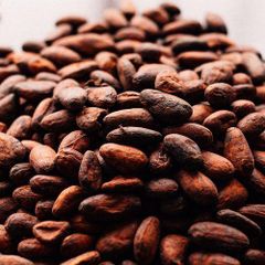 Cocoa Beans – product photo 1, product detail gallery